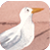 seagull_TH